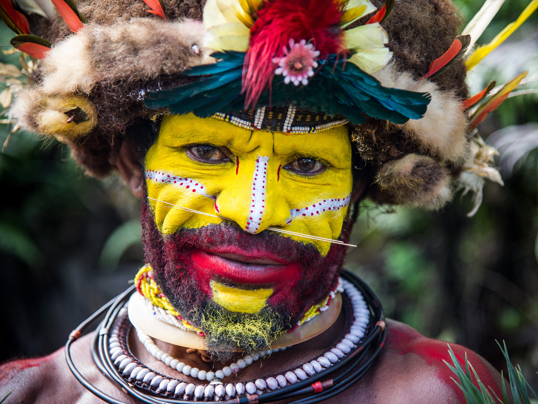 The Art of Tribal Face Painting in Papua New Guinea Culture